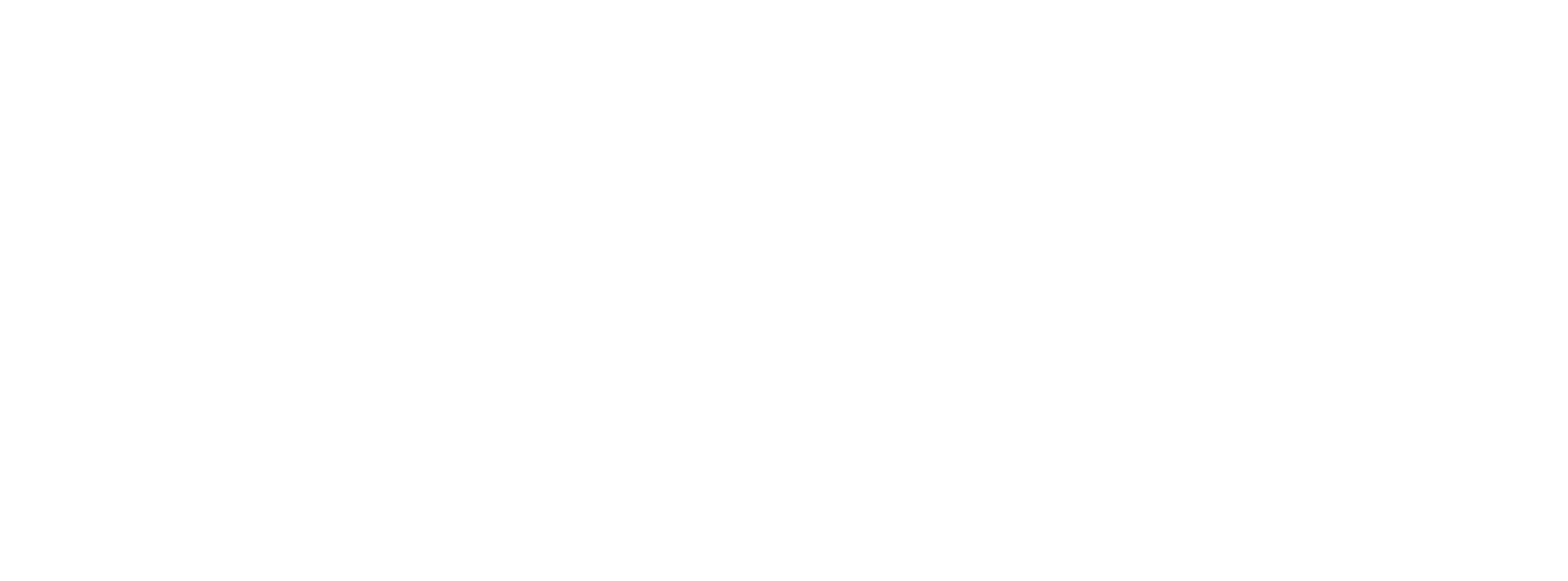 Multimatic DSSV logo