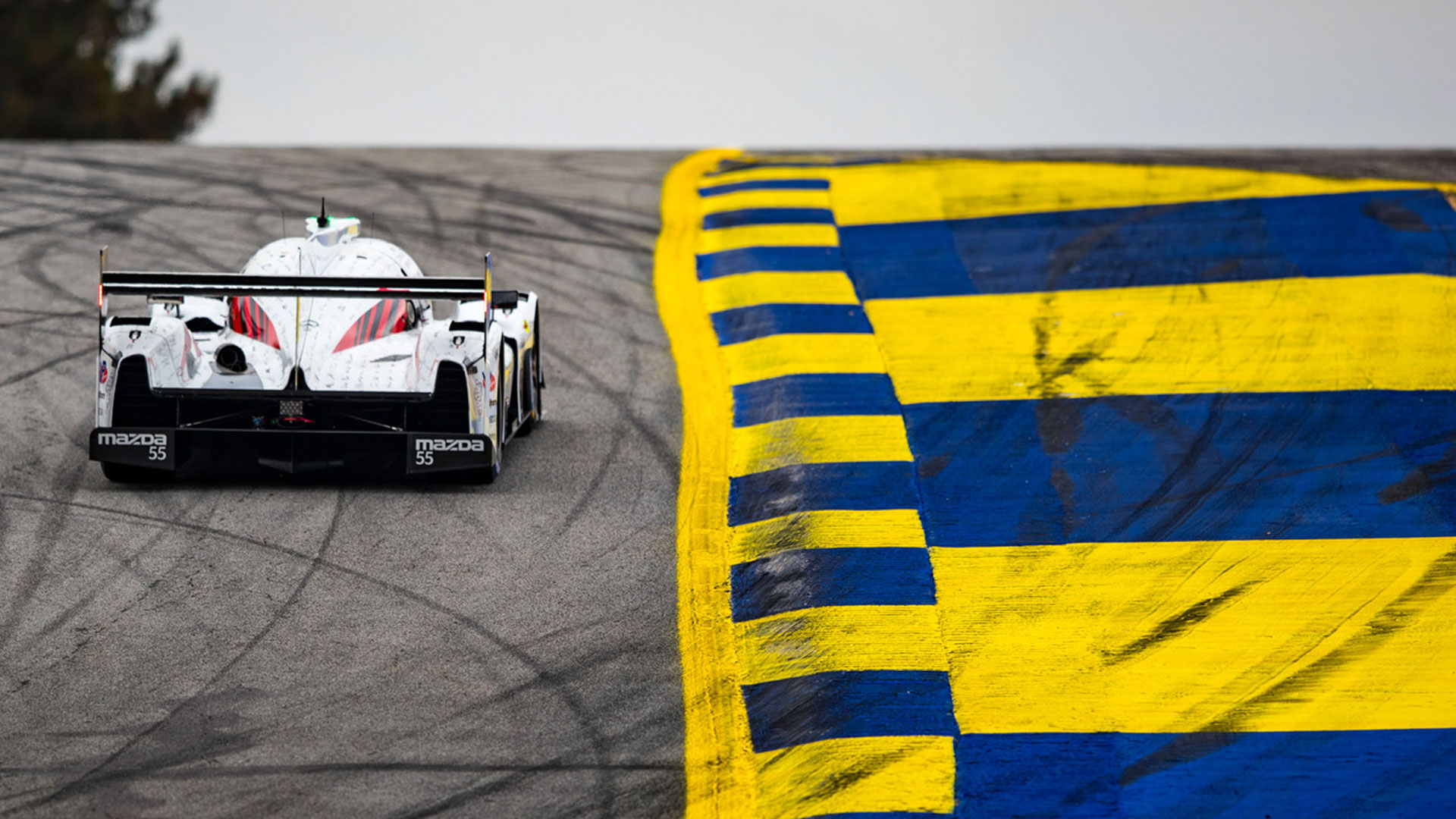 IMSA WeatherTech SportsCar - Petit Le Mans